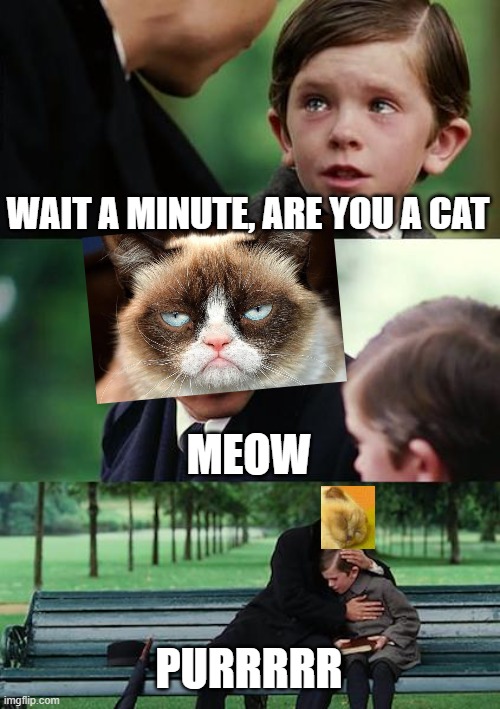 Finding Neverland | WAIT A MINUTE, ARE YOU A CAT; MEOW; PURRRRR | image tagged in memes,finding neverland | made w/ Imgflip meme maker