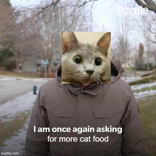 Bernie I Am Once Again Asking For Your Support Meme | for more cat food | image tagged in memes,bernie i am once again asking for your support | made w/ Imgflip meme maker