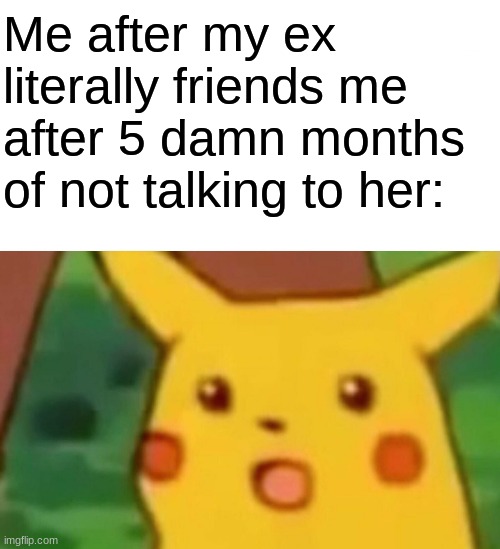 lmao wtf- | Me after my ex literally friends me after 5 damn months of not talking to her: | image tagged in surprised pikachu | made w/ Imgflip meme maker