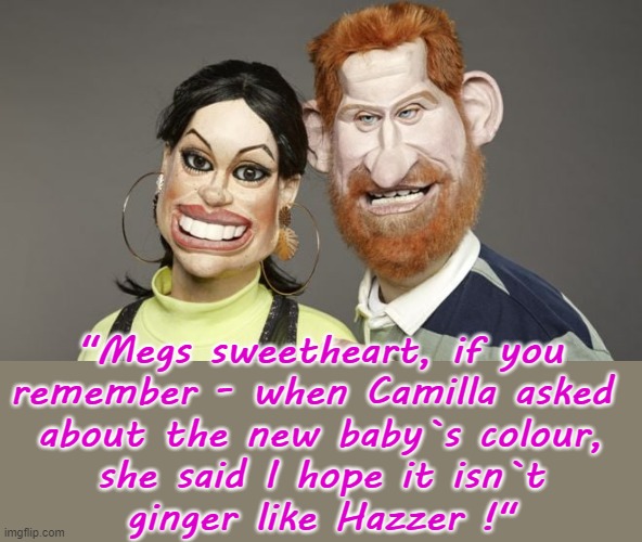 If you remember, Camilla said she hoped the baby wasn`t a ginger ! | "Megs sweetheart, if you
remember - when Camilla asked 
about the new baby`s colour,
she said I hope it isn`t
ginger like Hazzer !" | image tagged in you're a wizard harry | made w/ Imgflip meme maker