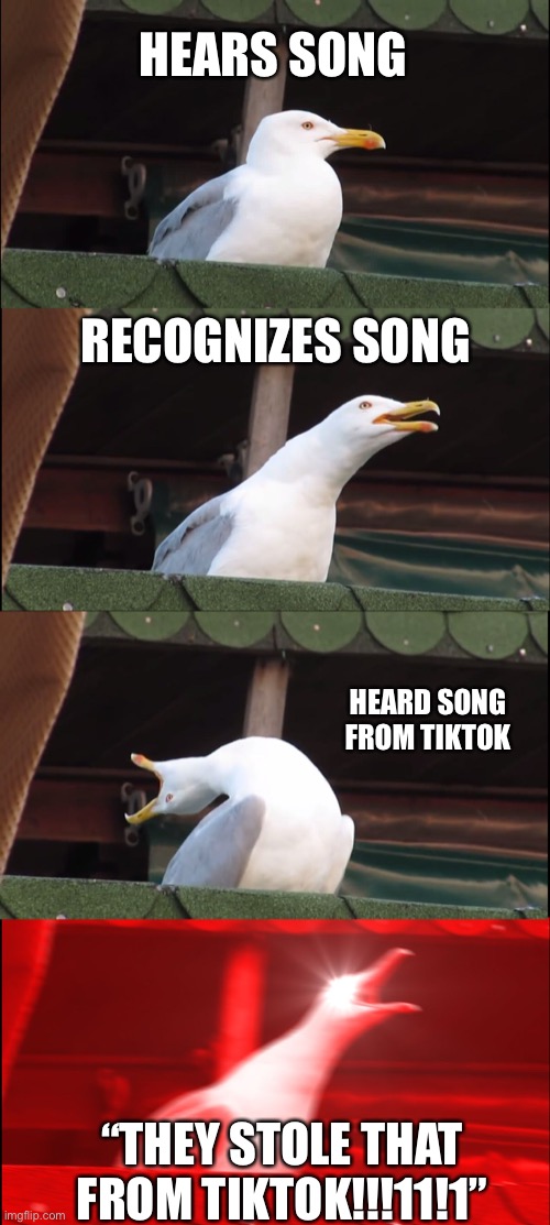 TikTokers be like | HEARS SONG; RECOGNIZES SONG; HEARD SONG FROM TIKTOK; “THEY STOLE THAT FROM TIKTOK!!!11!1” | image tagged in memes,inhaling seagull | made w/ Imgflip meme maker