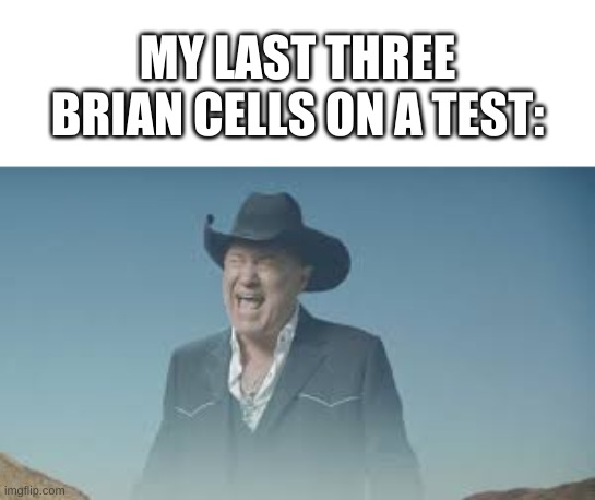 e | MY LAST THREE BRIAN CELLS ON A TEST: | image tagged in memes,funny,test,brain,what can i say except aaaaaaaaaaa | made w/ Imgflip meme maker