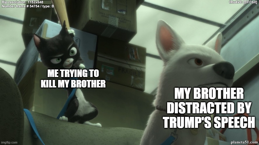 respect trump and this movie | ME TRYING TO KILL MY BROTHER; MY BROTHER DISTRACTED BY TRUMP'S SPEECH | image tagged in disney bolt baseball bat | made w/ Imgflip meme maker