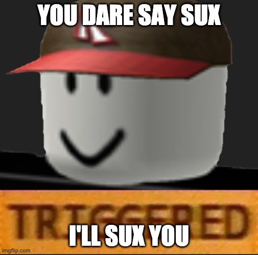 Roblox Triggered | YOU DARE SAY SUX I'LL SUX YOU | image tagged in roblox triggered | made w/ Imgflip meme maker