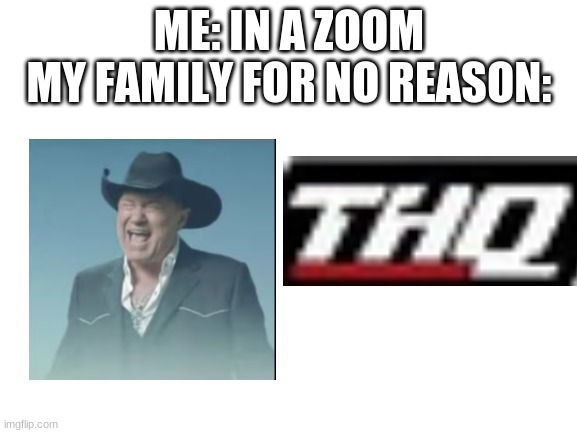 Blank White Template | ME: IN A ZOOM
MY FAMILY FOR NO REASON: | image tagged in blank white template | made w/ Imgflip meme maker