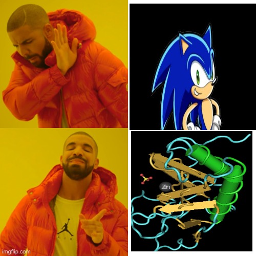 Sonic hedgehog (protein) | image tagged in drake hotline bling,sonic the hedgehog | made w/ Imgflip meme maker