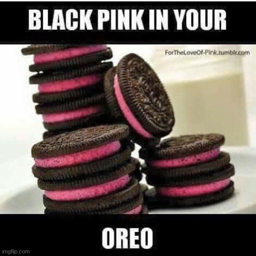 BlackPink in Your Oreo!!! | image tagged in blackpink | made w/ Imgflip meme maker