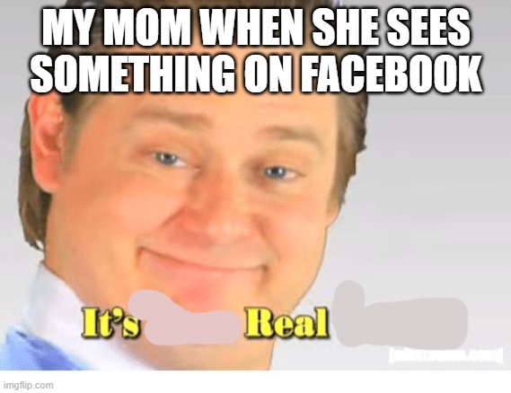 boomer | MY MOM WHEN SHE SEES SOMETHING ON FACEBOOK | image tagged in it's free real estate,boomer,facts,bruh | made w/ Imgflip meme maker