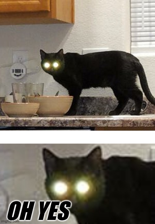 an alternate to the oh-no cat | OH YES | image tagged in memes,oh no black cat | made w/ Imgflip meme maker
