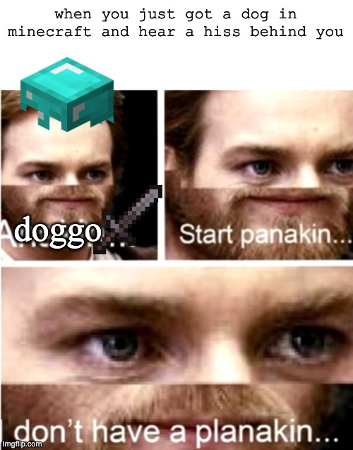 Panik | when you just got a dog in minecraft and hear a hiss behind you; doggo | image tagged in anakin start panakin | made w/ Imgflip meme maker