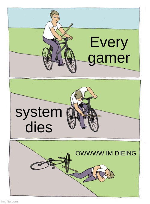 Bike Fall Meme | Every gamer; system dies; OWWWW IM DIEING | image tagged in memes,bike fall | made w/ Imgflip meme maker