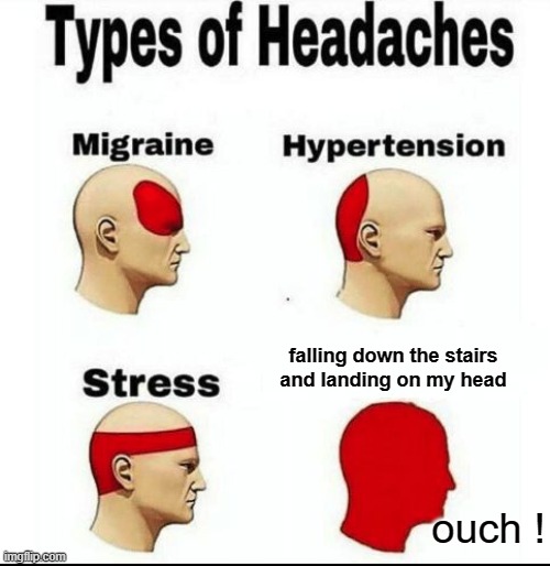 Types of Headaches meme | falling down the stairs and landing on my head; ouch ! | image tagged in types of headaches meme | made w/ Imgflip meme maker
