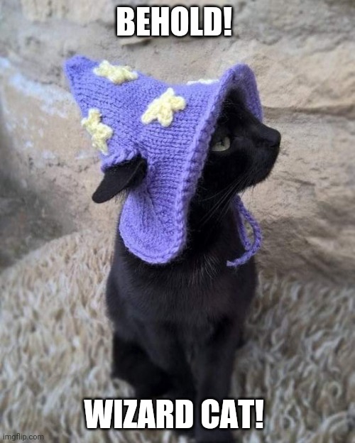 You're a wizard hairy! | BEHOLD! WIZARD CAT! | image tagged in wizard,wizards,cats,cat,funny cats,brimmuthafukinstone | made w/ Imgflip meme maker
