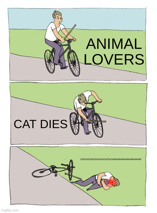 Bike Fall Meme | ANIMAL LOVERS; CAT DIES; OoOoOoOoOoOoOoOoOoOoWwWwWwWwWwWwW | image tagged in memes,bike fall | made w/ Imgflip meme maker