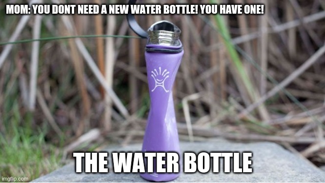 Moms be like | MOM: YOU DONT NEED A NEW WATER BOTTLE! YOU HAVE ONE! THE WATER BOTTLE | image tagged in bruh moment | made w/ Imgflip meme maker