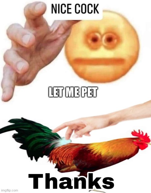 pet | made w/ Imgflip meme maker