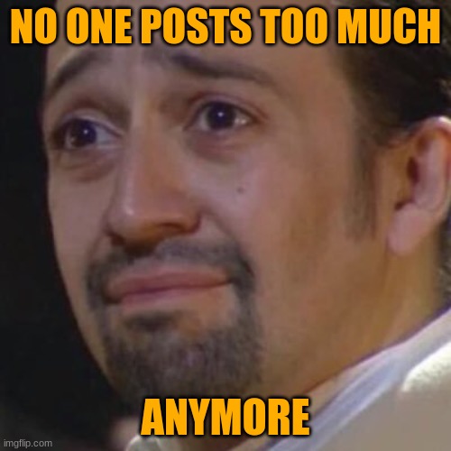 POST MORE SPAM MORE HAMILTON MORE | NO ONE POSTS TOO MUCH; ANYMORE | image tagged in sad hamilton | made w/ Imgflip meme maker