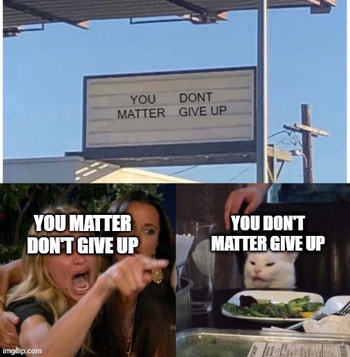 YOU MATTER DON'T GIVE UP; YOU DON'T MATTER GIVE UP | image tagged in memes,woman yelling at cat | made w/ Imgflip meme maker