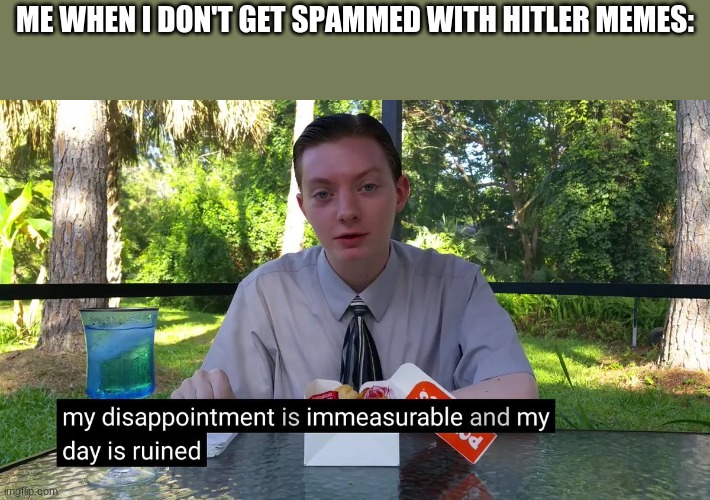 My Disappointment Is Immeasurable | ME WHEN I DON'T GET SPAMMED WITH HITLER MEMES: | image tagged in my disappointment is immeasurable | made w/ Imgflip meme maker