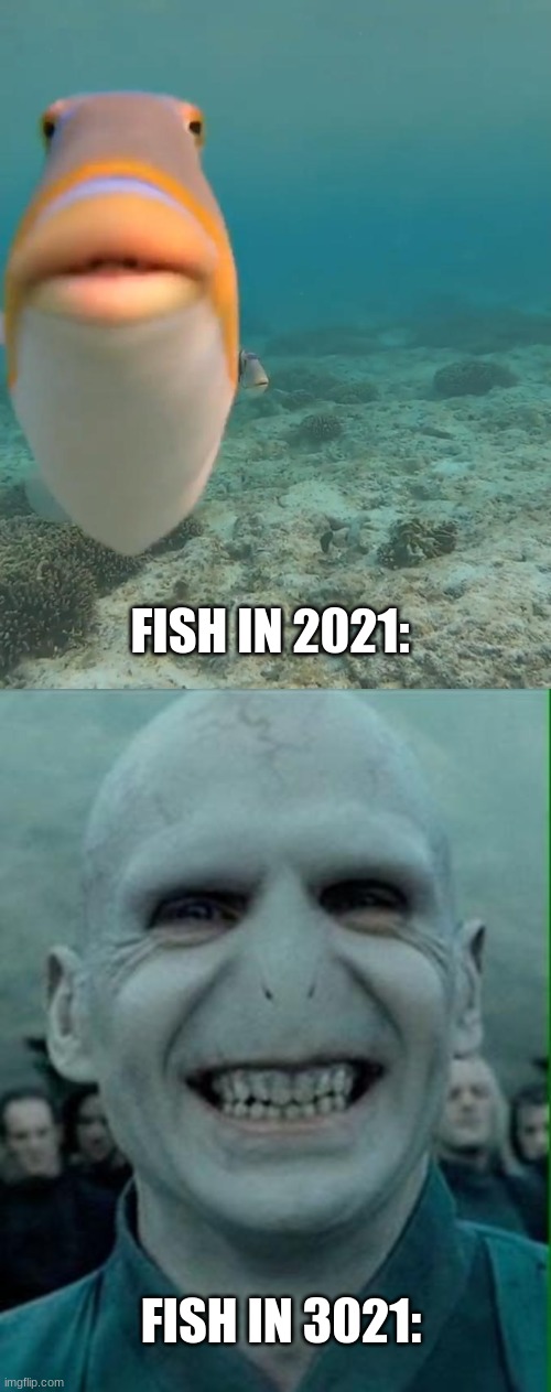 ma guy went from being a meme to killing wizards | FISH IN 2021:; FISH IN 3021: | image tagged in staring fish,voldemort grin | made w/ Imgflip meme maker