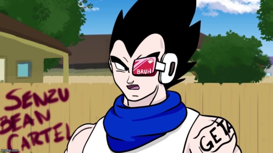 Vegeta Bruh | image tagged in vegeta bruh | made w/ Imgflip meme maker
