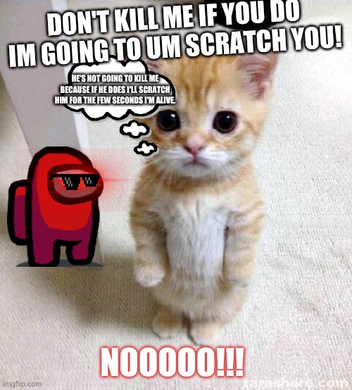 He Killed me NOOO!!! | DON'T KILL ME IF YOU DO IM GOING TO UM SCRATCH YOU! HE'S NOT GOING TO KILL ME BECAUSE IF HE DOES I'LL SCRATCH HIM FOR THE FEW SECONDS I'M ALIVE. NOOOOO!!! | image tagged in memes,cute cat | made w/ Imgflip meme maker