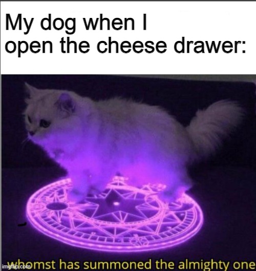 He is omniscient | My dog when I open the cheese drawer: | image tagged in who has summoned the almighty one,dogs,doge,dog | made w/ Imgflip meme maker