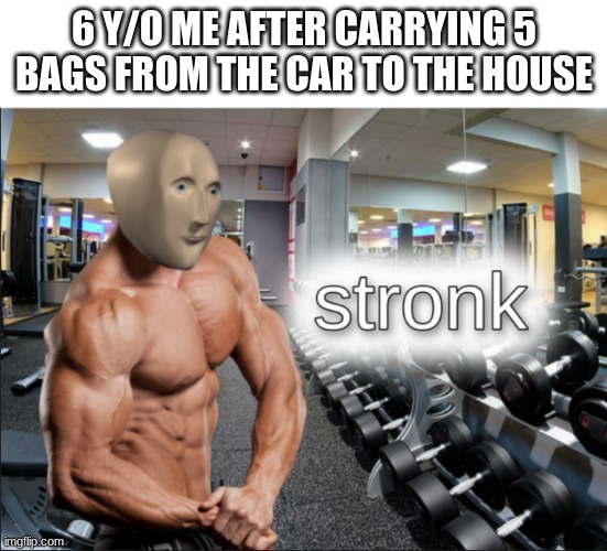 Me stronk now | 6 Y/O ME AFTER CARRYING 5 BAGS FROM THE CAR TO THE HOUSE | image tagged in stronks | made w/ Imgflip meme maker