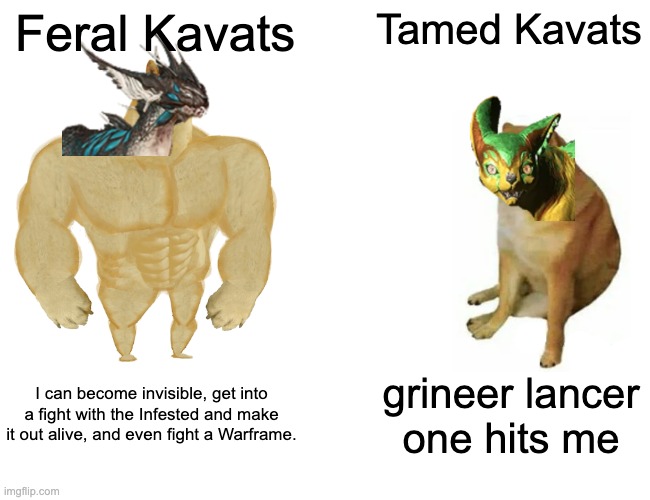 Buff Doge vs. Cheems | Feral Kavats; Tamed Kavats; I can become invisible, get into a fight with the Infested and make it out alive, and even fight a Warframe. grineer lancer one hits me | image tagged in memes,buff doge vs cheems | made w/ Imgflip meme maker