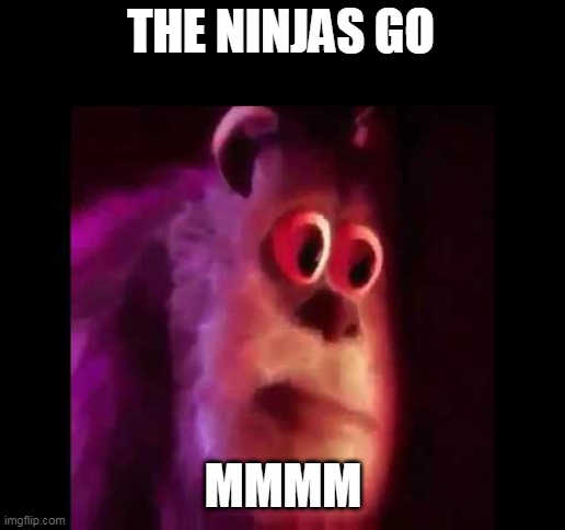 Sully Groan | THE NINJAS GO MMMM | image tagged in sully groan | made w/ Imgflip meme maker