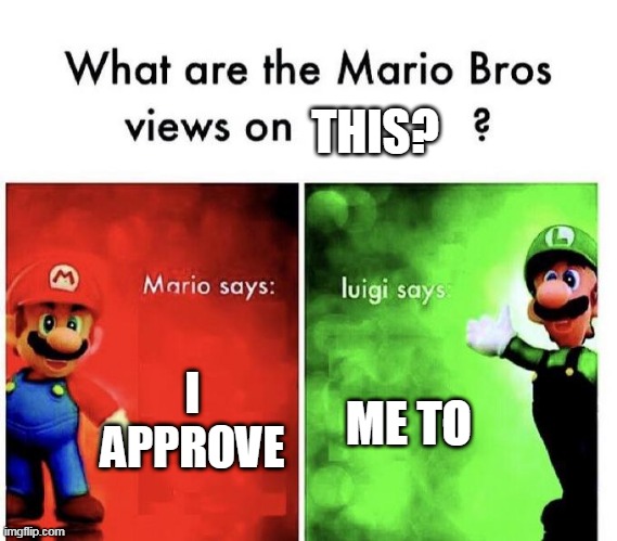 Mario Bros Views | I APPROVE ME TO THIS? | image tagged in mario bros views | made w/ Imgflip meme maker
