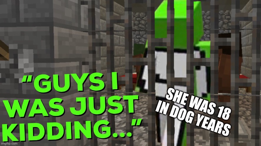 SHE WAS 18 IN DOG YEARS | image tagged in memes,dark humor,dream | made w/ Imgflip meme maker