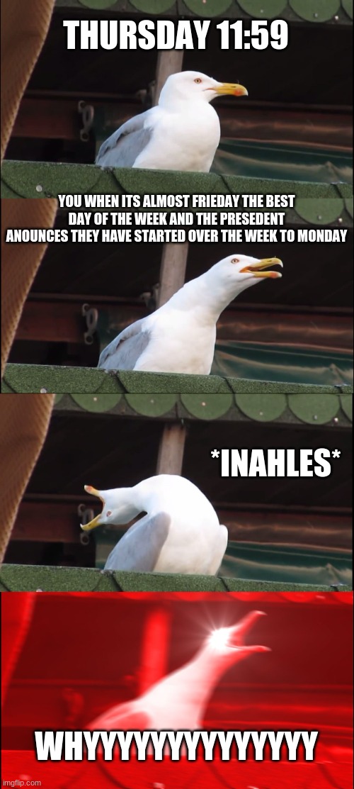 Inhaling Seagull | THURSDAY 11:59; YOU WHEN ITS ALMOST FRIEDAY THE BEST DAY OF THE WEEK AND THE PRESEDENT ANOUNCES THEY HAVE STARTED OVER THE WEEK TO MONDAY; *INAHLES*; WHYYYYYYYYYYYYYY | image tagged in memes,inhaling seagull | made w/ Imgflip meme maker