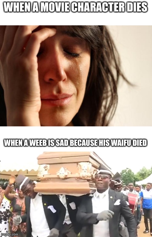 coffin dance | WHEN A MOVIE CHARACTER DIES; WHEN A WEEB IS SAD BECAUSE HIS WAIFU DIED | image tagged in memes,coffin dance | made w/ Imgflip meme maker