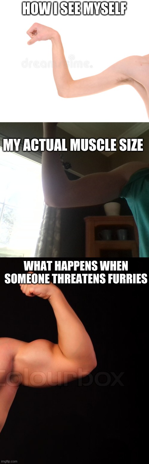 Lmao | HOW I SEE MYSELF; MY ACTUAL MUSCLE SIZE; WHAT HAPPENS WHEN SOMEONE THREATENS FURRIES | made w/ Imgflip meme maker