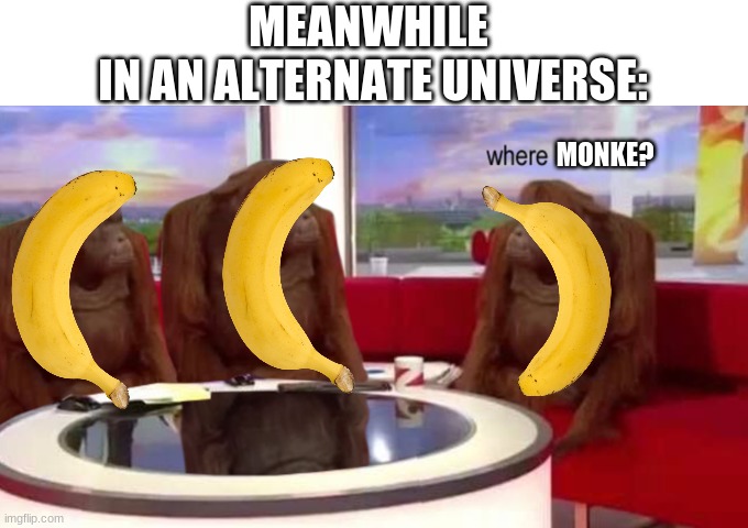 where monke? | MEANWHILE 
IN AN ALTERNATE UNIVERSE:; MONKE? | image tagged in where banana | made w/ Imgflip meme maker
