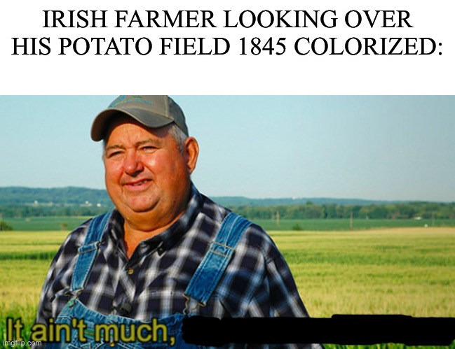 It ain't much, but it's honest work | IRISH FARMER LOOKING OVER HIS POTATO FIELD 1845 COLORIZED: | image tagged in it ain't much but it's honest work,dark humor,ireland,potato,memes | made w/ Imgflip meme maker