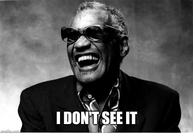 Ray Charles | I DON'T SEE IT | image tagged in ray charles | made w/ Imgflip meme maker