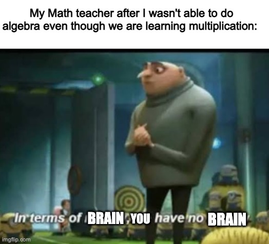 in terms of brain, you have no brain | My Math teacher after I wasn't able to do algebra even though we are learning multiplication:; BRAIN; BRAIN; YOU | image tagged in in terms of money | made w/ Imgflip meme maker