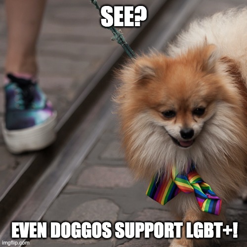 Even doggos support the LGBT+ community! | SEE? EVEN DOGGOS SUPPORT LGBT+! | image tagged in dog,gay rights,gay pride | made w/ Imgflip meme maker