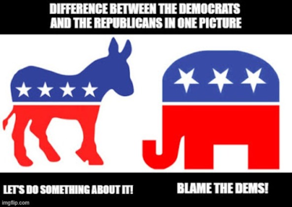 Difference between Republicans and Democrats in one picture | image tagged in democrats,republicans | made w/ Imgflip meme maker