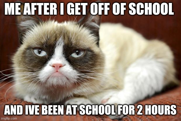 /relatable | ME AFTER I GET OFF OF SCHOOL; AND IVE BEEN AT SCHOOL FOR 2 HOURS | image tagged in grumpycat | made w/ Imgflip meme maker