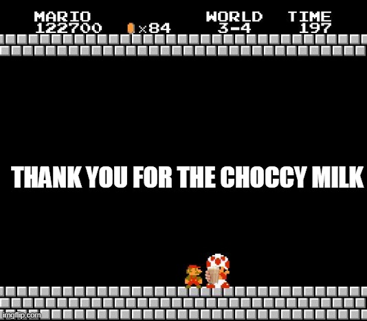 Thank You Mario | THANK YOU FOR THE CHOCCY MILK | image tagged in thank you mario | made w/ Imgflip meme maker