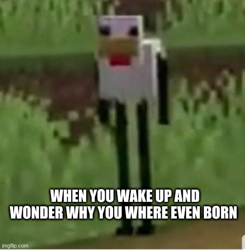 why | WHEN YOU WAKE UP AND WONDER WHY YOU WHERE EVEN BORN | image tagged in cursed minecraft chicken | made w/ Imgflip meme maker