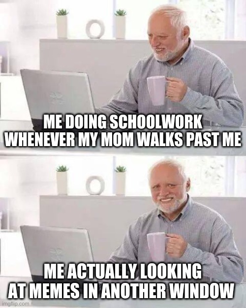 why tf not | ME DOING SCHOOLWORK WHENEVER MY MOM WALKS PAST ME; ME ACTUALLY LOOKING AT MEMES IN ANOTHER WINDOW | image tagged in memes,hide the pain harold | made w/ Imgflip meme maker