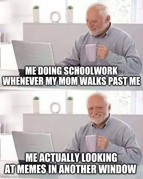 why tf not | ME DOING SCHOOLWORK WHENEVER MY MOM WALKS PAST ME; ME ACTUALLY LOOKING AT MEMES IN ANOTHER WINDOW | image tagged in memes,hide the pain harold | made w/ Imgflip meme maker