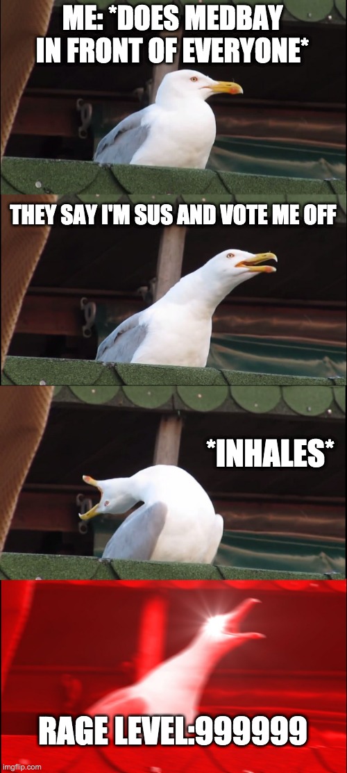Inhaling Seagull Meme | ME: *DOES MEDBAY IN FRONT OF EVERYONE*; THEY SAY I'M SUS AND VOTE ME OFF; *INHALES*; RAGE LEVEL:999999 | image tagged in memes,inhaling seagull | made w/ Imgflip meme maker