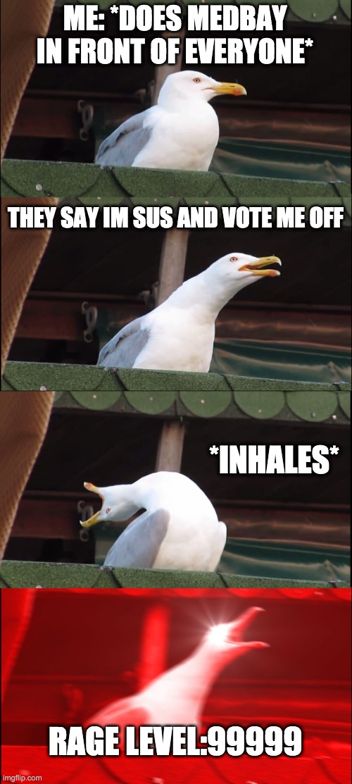 Inhaling Seagull | ME: *DOES MEDBAY IN FRONT OF EVERYONE*; THEY SAY IM SUS AND VOTE ME OFF; *INHALES*; RAGE LEVEL:99999 | image tagged in memes,inhaling seagull | made w/ Imgflip meme maker