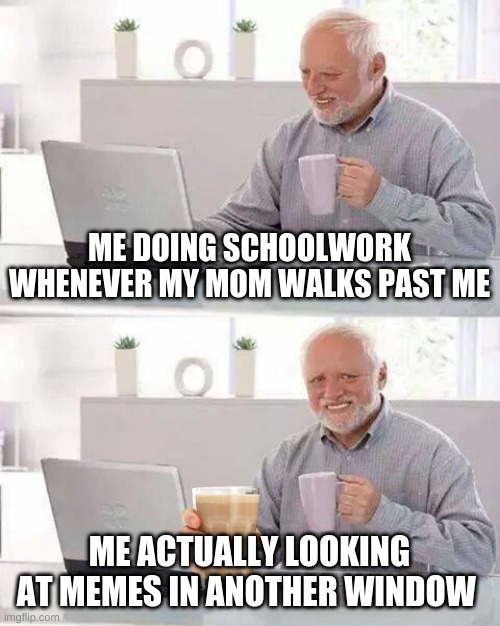 why tf not |  ME DOING SCHOOLWORK WHENEVER MY MOM WALKS PAST ME; ME ACTUALLY LOOKING AT MEMES IN ANOTHER WINDOW | image tagged in memes,hide the pain harold | made w/ Imgflip meme maker