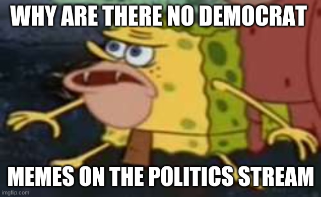 Why tho | WHY ARE THERE NO DEMOCRAT; MEMES ON THE POLITICS STREAM | image tagged in memes,spongegar,politics | made w/ Imgflip meme maker
